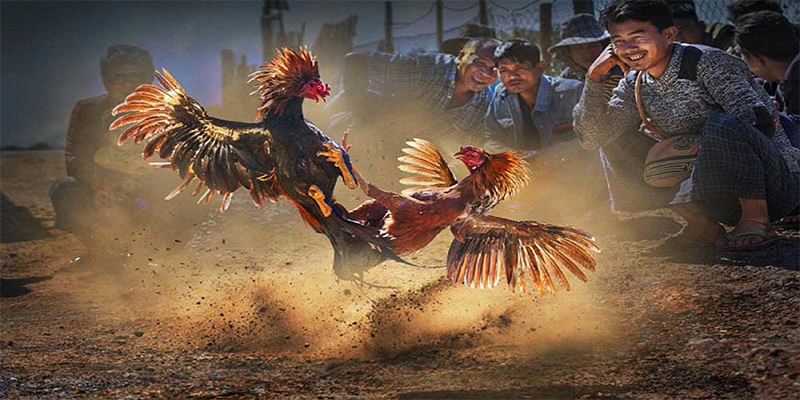 colatv đăng nhập roulette số 1