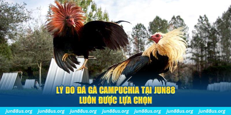 colatv nổ hủ máy bay