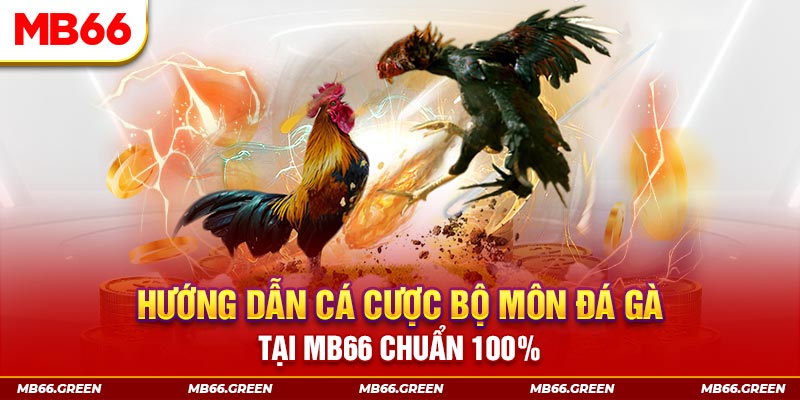 colatv xổ số bình định