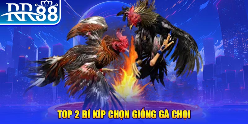 colatv đăng nhập roulette dễ thắng
