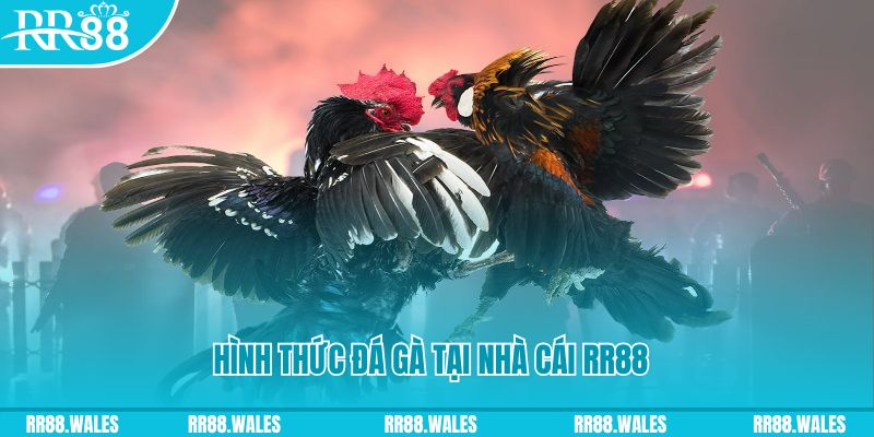 colatv PS Điện Tử
