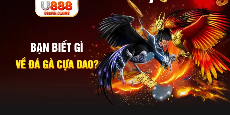 colatv xổ số kiến thiết