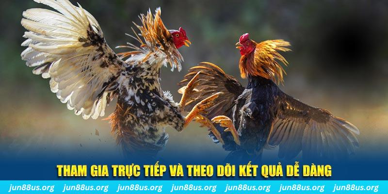 colatv đá gà trực tiếp bình luận viên