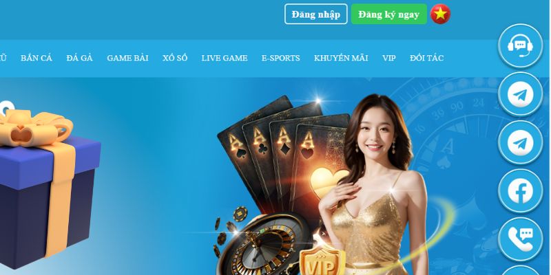 colatv slot là gì dịch