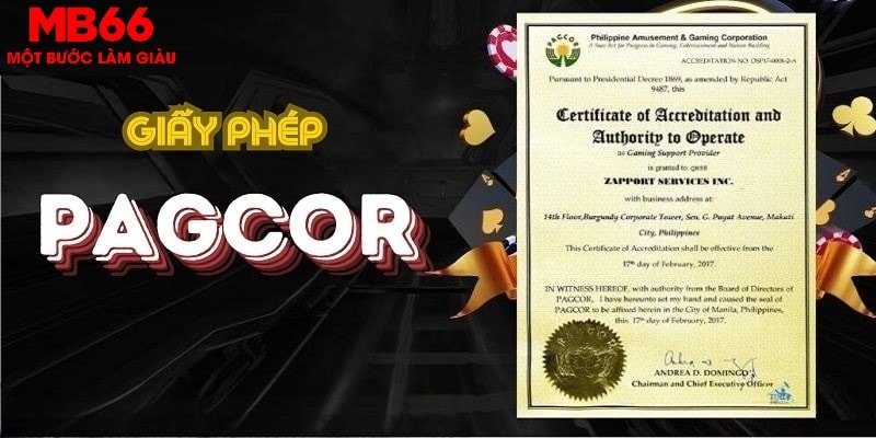 colatv trong baccarat, ai là người chia bài chính？