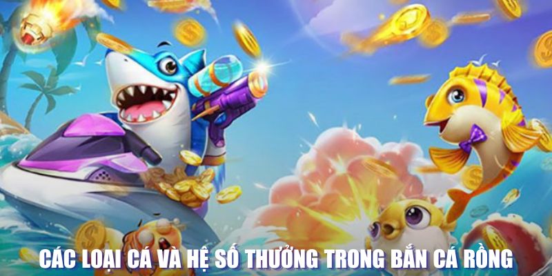 colatv loi game dot kich ket noi may chu that bai