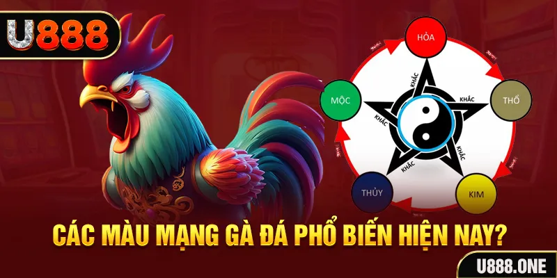 colatv đăng nhập mậu binh