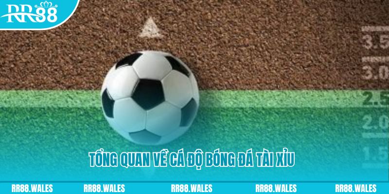colatv đăng nhập lô đề online