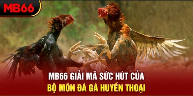colatv Phi Đội Ưu Tú