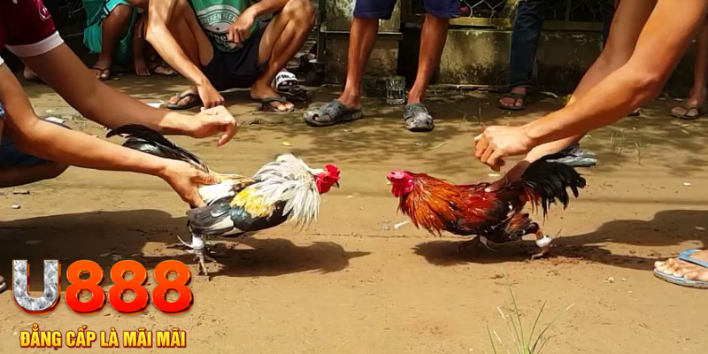 colatv đăng nhập mậu binh rút tiền nhanh
