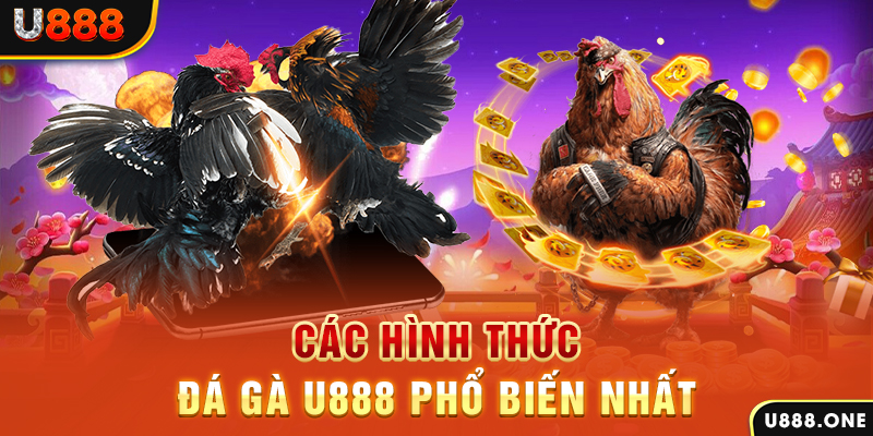 colatv DB Trực Tuyến