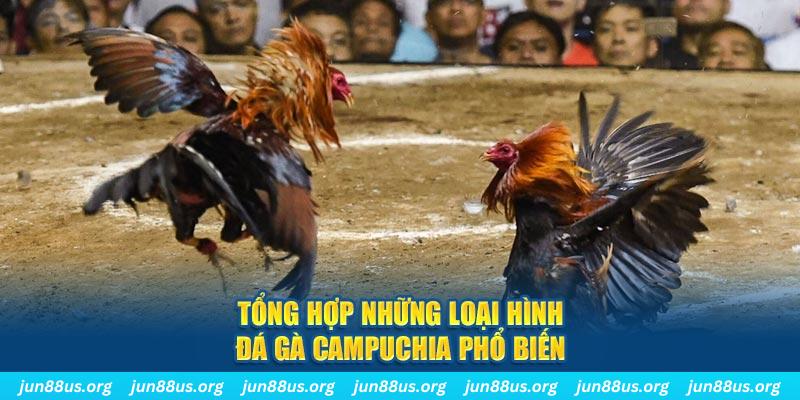 colatv ON Trực Tuyến