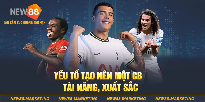colatv esport la gì