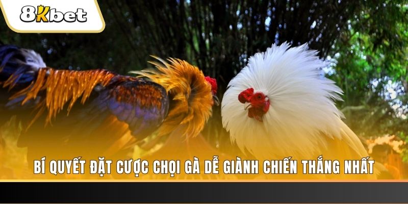 colatv Tài Xỉu 2