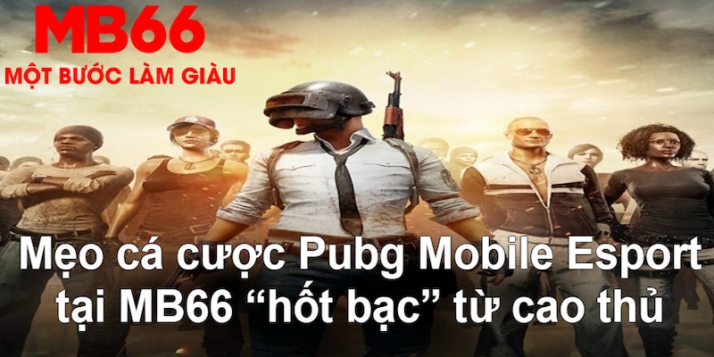 colatv gà chọi mộc hóa