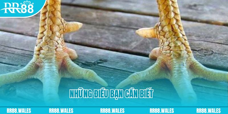 colatv đăng nhập liêng hàng đầu