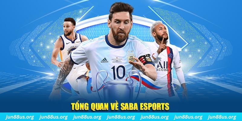 colatv gà chọi c1 tv trực tiếp hôm nay
