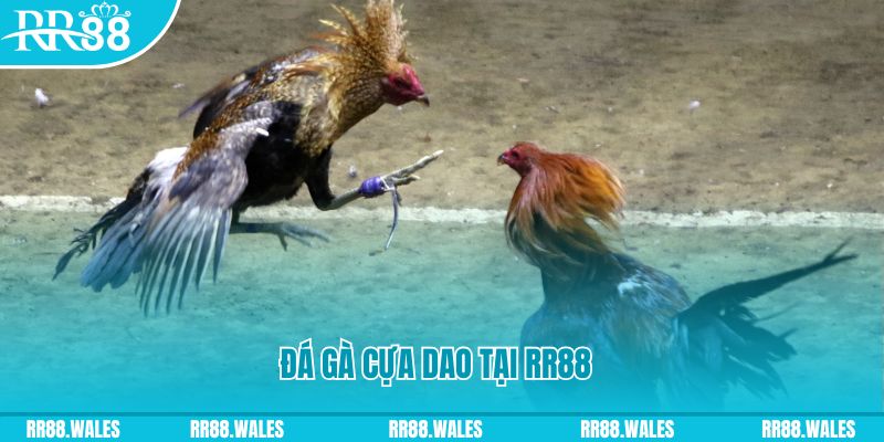 colatv đăng nhập nổ hũ dễ thắng